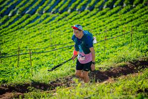 BIB: 
                            <button type="button" onclick="openModal(19160404)" class="btn btn-primary btn-sm float-right btn-popup" data-toggle="modal" data-target=".modal-high-quality">
                        <i class="fas fa-shopping-cart"></i> Add to Cart
                    </button>
                                            <button type="button" onclick="isThisMe(19160404, true)" class="btn btn-success btn-sm float-right btn-popup btn-isme hidden" data-toggle="tooltip" data-placement="bottom" title="นี่คือรูปของคุณใช่ไหม คลิกที่นี่เพื่อเอาเข้าอัลบั้ม">
                        <i class="fas fa-plus"></i> Add to album
                    </button>
                    <button type="button" onclick="isThisMe(19160404, false)" class="btn btn-warning btn-sm float-right btn-popup btn-isnotme hidden">
                        <i class="fas fa-ban"></i> Remove from album
                    </button>